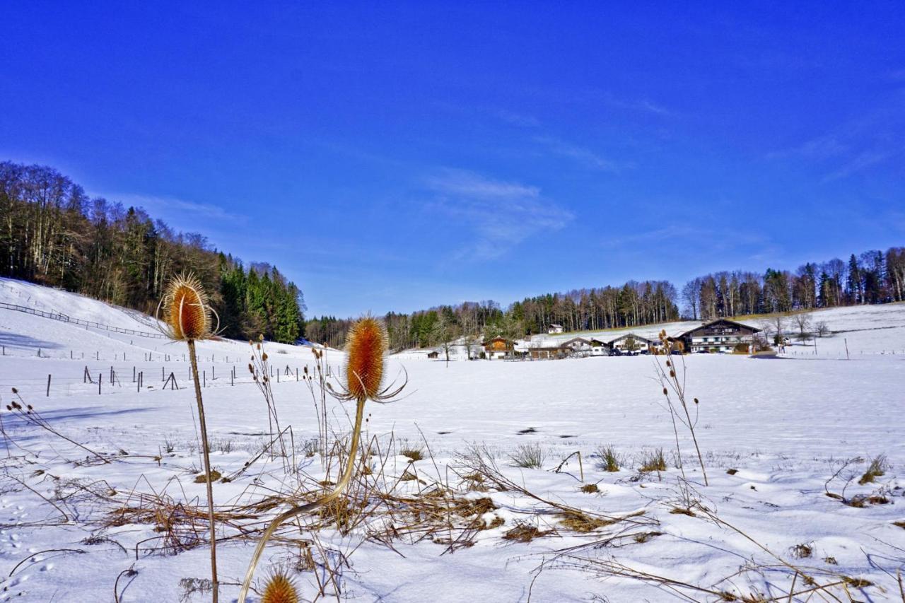 Фермерский дом Wanderparadies Bauernhof Ашау-им-Химгау